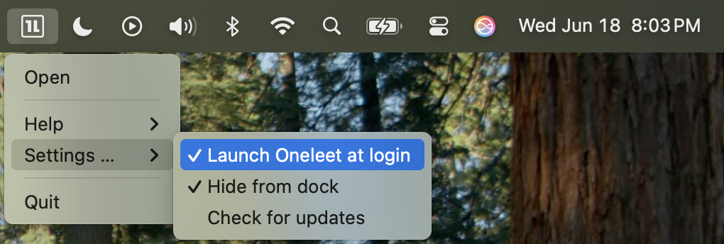 macOS launch Oneleet at login